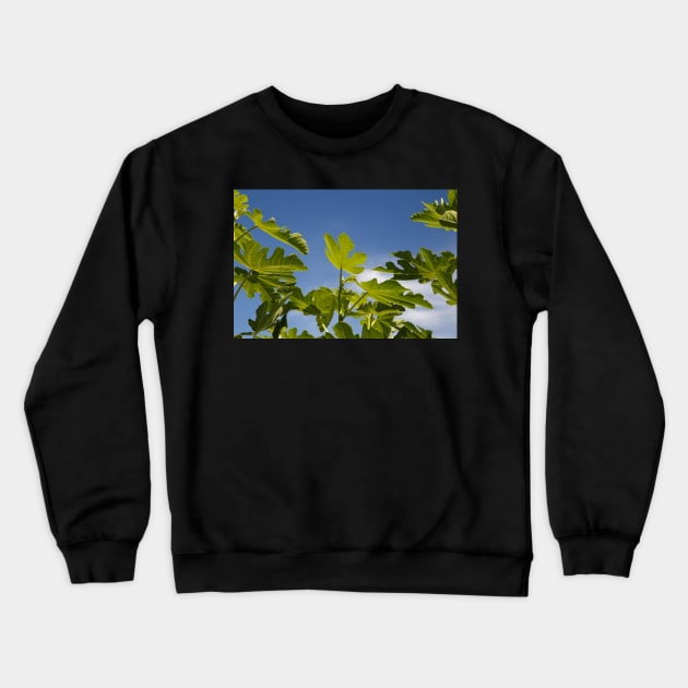 Fig Leaves Crewneck Sweatshirt by rhintl